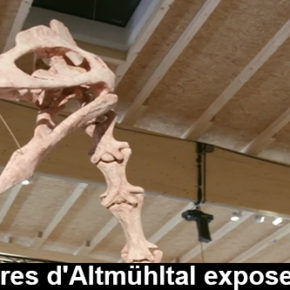 Les vestiges d’un nouveau dinosaure exposé en Allemagne